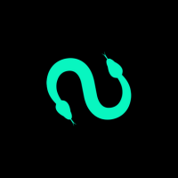 Sallar ALL logo